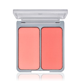 Two A.N. 투에이엔 듀얼치크 9g Two-in-One Dual Cheek 9g