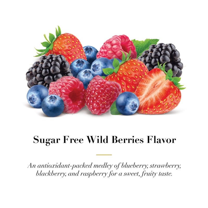 Dr. Doolittle’s Sugar Free Pastilles for Voice and Throat, Wild