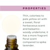 xencare Lavender USDA Organic Essential Oil | 100% Pure Natural
