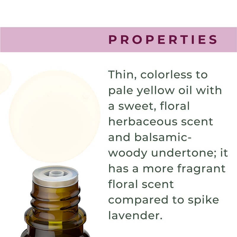xencare Lavender USDA Organic Essential Oil | 100% Pure Natural