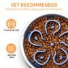 Stainless Steel Slow Feeder Dog Bowl, Bestalk 2-in-1 Metal Dog