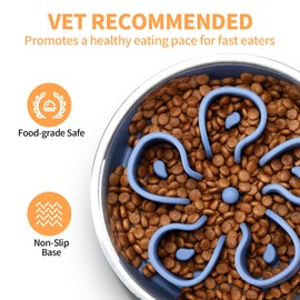 Stainless Steel Slow Feeder Dog Bowl, Bestalk 2-in-1 Metal Dog Bowls with Silicone Slow Feeder Insert for Small, Medium, Large Dogs(Dblue,2 Cups)