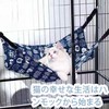BLOOPIC Cat Hammock, Cat Hammock, Adjustable Lines, Thin, Perfect for