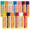 Burt's Bees Lip Balm, Moisturizing Lip Care, for All Day