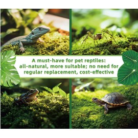 LUCKY PLANT LUCKY PLANT Moss Terrarium Beding Live Moss Terrarium Moss for Reptiles Peat Moss for Reptiles Habitat Bedding Moss for Snakes Turtle Frog Gecko and Other Reptiles Substrate Composite 2