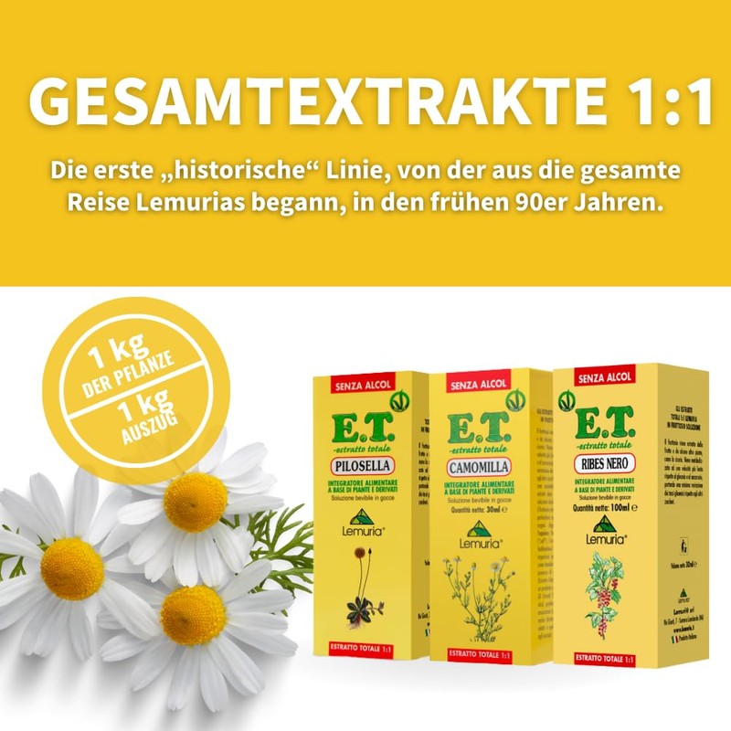 Ribes Nero Estr 100ml