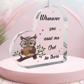Owl Gifts For Women Owl Graduation Gifts For Friend Gifts For Women Owl Plaque Special Friend Gifts Friendship Gifts Owl Ornaments