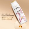 Pantene Pro-V Miracles Colágeno Nutre & Revitaliza Shampoo Nutritivo 510