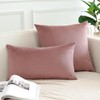 JOTOM Set of 2 Velvet Soft Solid Cushion Covers 30x50
