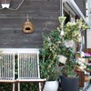 Relaxdays Bird Nest, Decorative Nesting Box, Hanging, Coir Fibre, Braided,