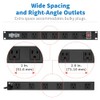 Tripp Lite Tripp Lite 12-Outlet Rack Mount Power Strip PDU,