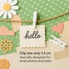 LWR CRAFTS Wooden Mini Clothes Pegs 15 Colors 100 Per