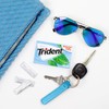 Trident Mint Bliss Sugar-Free Chewing Gum, 12 Packs of 14
