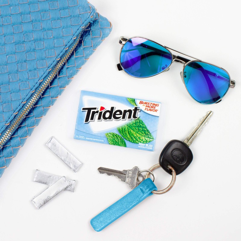 Trident Mint Bliss Sugar-Free Chewing Gum, 12 Packs of 14