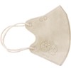 Chiikawa 3D Charm Point Mask (Fruit) 20-Piece Box Mask