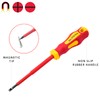 BILITOOLS Insulated Screwdriver & Pliers Set, 1000V Electrical Tools for