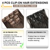 QUEENTAS Long Straight Clip in Hair Extensions for Women Highlight