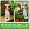 Minty Spider Repellent, Natural 5% Peppermint Oil Spray, Kills &