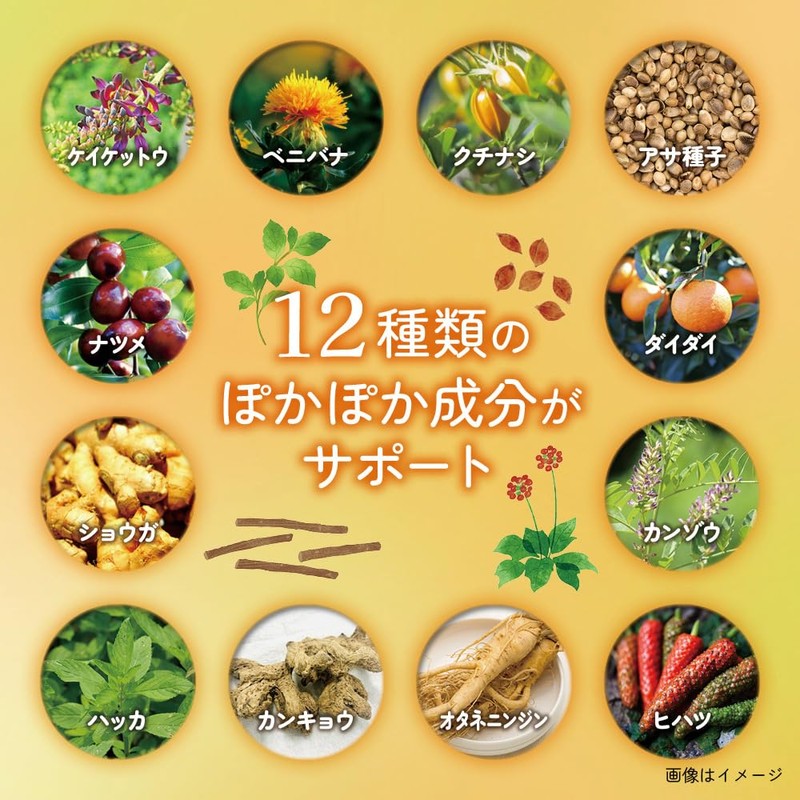 和漢のめぐり ぬくもりプレミアム ヒハツ サプリ 12種類の和漢素材配合 120粒入り 約一ヶ月分 ショウガ オタネニンジン