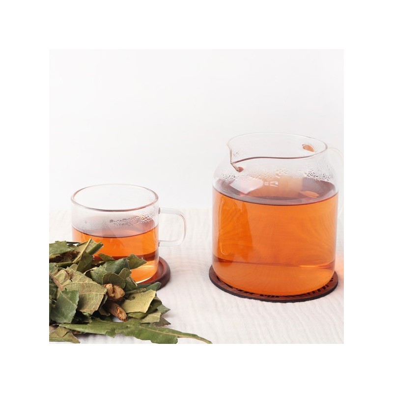 Dong-uihanjae 동의한재 국산 비파엽 비파잎 가지 300g Korean Domestic Loquat