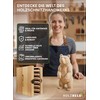 HOLZHELD - 6 Piece Woodworking Chisel Set for Hobby Craftsmen