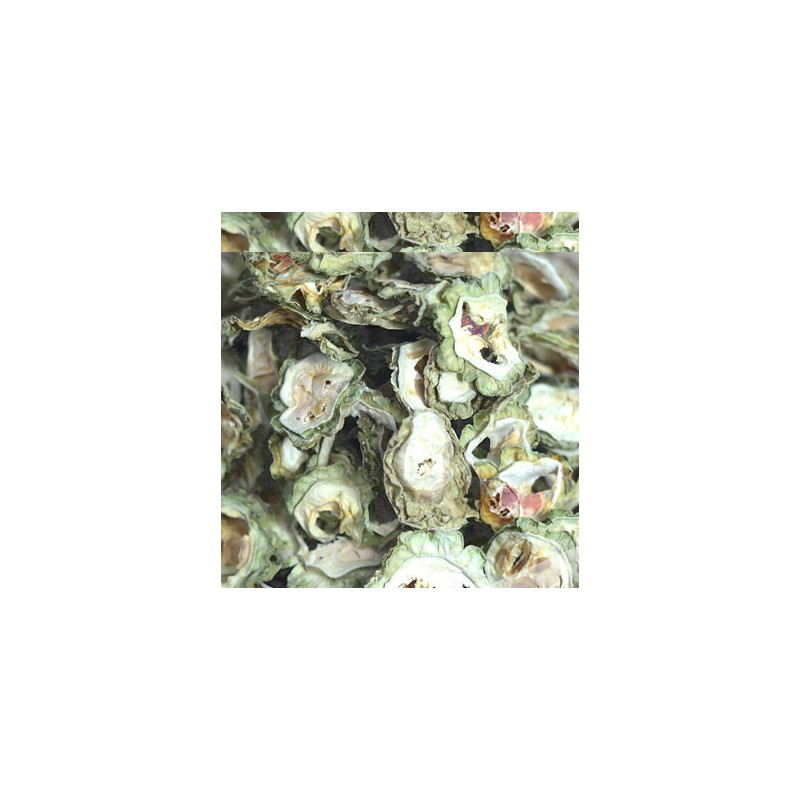조은약초 건 여주, 200g, 1개 Dried Bitter Melon, 200g, 1