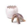 Magnetic Pen Stand BOB UP STAND TURTLE 57686