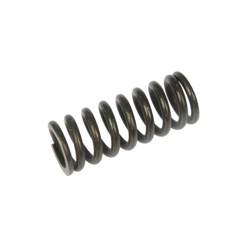 Dorman 38436 Front Upper Door Hinge Spring Compatible with Select