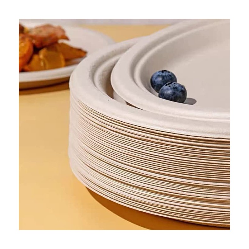 7 Inch Disposable Plates