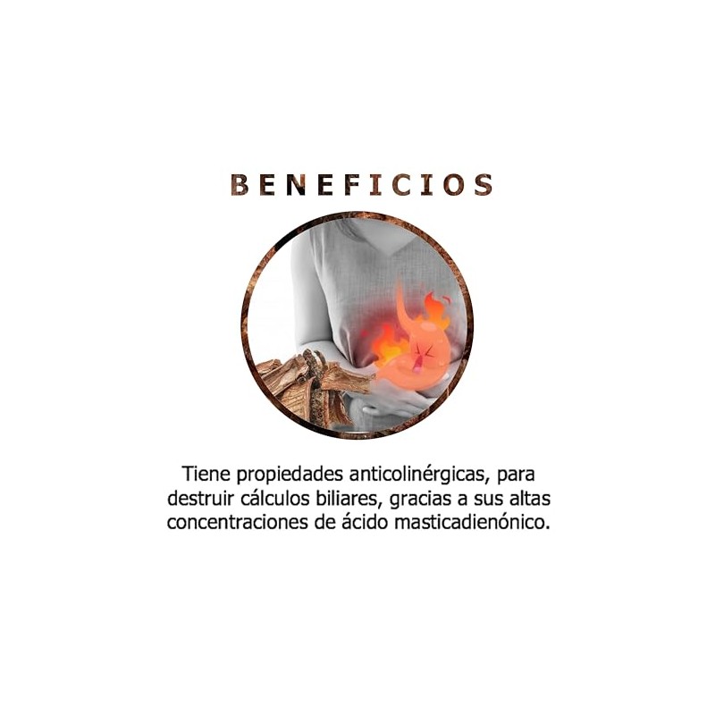 CUACHALALATE CORTEZA, PLANTA SECA, NATURAL, 100% PURA 250 GRAMOS