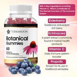 TERRAMOON Botanical Gummies, 60 Blueberry Flavoured Gummies with Echinacea, Elderberry and Vitamin C, 30 Day Supply