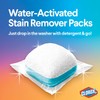 Clorox 2 Laundry Stain Remover and Color Booster Pack, 40