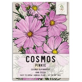 Seed Needs, Pinkie Cosmos Seeds - 400 Heirloom Seeds for Planting Cosmos bipinnatus - Pink Wildflowers to Plant a Butterfly Garden & Attract Pollinators (1 Pack)