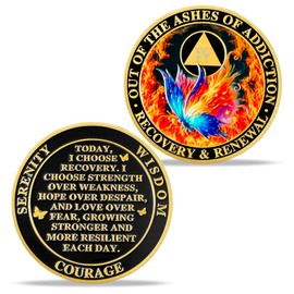 4 Year Sobriety Coin - AA Recovery Medallion with Butterfly Design - Sober Token for 4th Anniversary - Recovery Gift for Men & Women