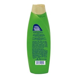 PERT, Shampoo Olivo y Aguacate | Repara profundamente el cabello maltratado, 400 ml