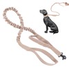 Heavy Duty Bungee Dog Leash Elastic Leads Rope with 2