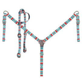 Showman Serape Southwest Print Nylon Headstall & Breast Collar Set