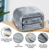 Hiseeme Weighted Blanket Queen Size 18lbs 60"x80", Soft Silky Minky