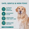 The Healthy Dog Co - Natural Wormwood for Dog Worming