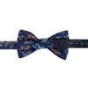 Trafalgar Pajarita de seda para hombre Birds of Prosperity, Azul