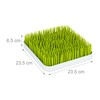 little Choice Drainer Baby Bottles, Collection Tray, Grass Design, Bottle