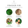 Frasier Fir Candle, 3-wick