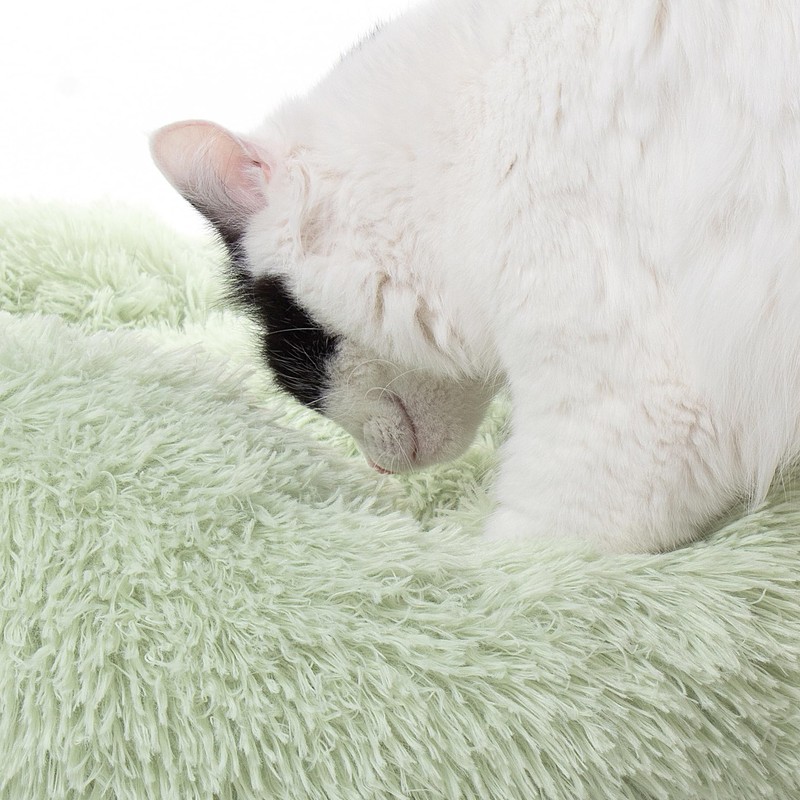 Jackson Galaxy Donut Disturb Cat Bed (Mint)