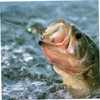 Gatuida 24Pcs Luminous Olive Shape Fishing Bait Cages Durable Spring