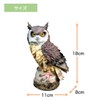 M Pro Owl Figurine, Garden Object, Feng Shui, Good Luck,