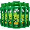 Irish Spring Body Wash, Original, 18 Fluid Ounce (Pack of