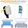VEGOLS Adult Extra Soft Toothbrush with 20000 Soft Bristles, (Pack