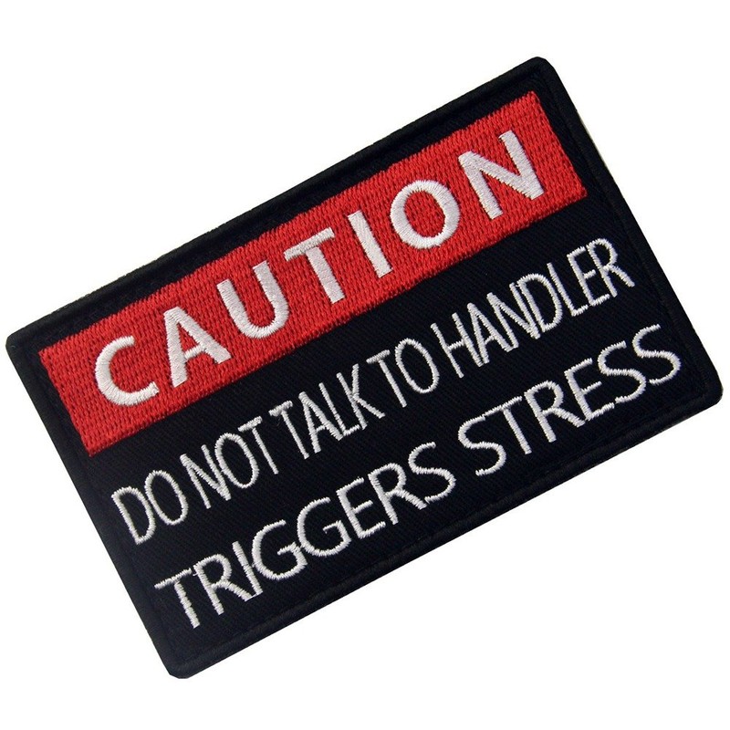 Service Dog Caution Do Not Talk to Handler Triggers Stress