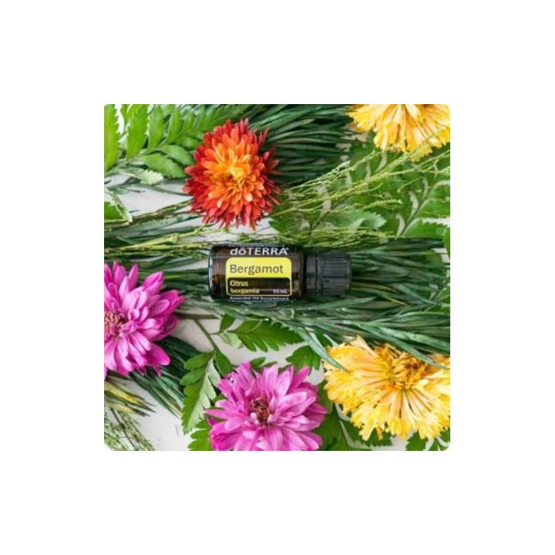 doTERRA Bergamot Essential Oil - 15 mL