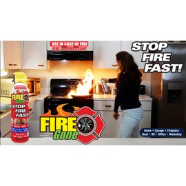Fire Gone Fg24-247-102 16 Oz Firegone